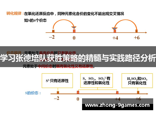 学习张德培队获胜策略的精髓与实践路径分析