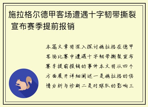 施拉格尔德甲客场遭遇十字韧带撕裂 宣布赛季提前报销